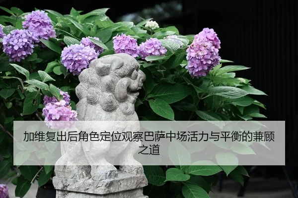 jia-wei-fu-chu-hou-jue-se-ding-wei-guan-cha-ba-sa-zhong-chang-huo-li-yu-ping-heng-de-jian-gu-zhi-dao-2-507.jpg